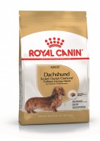 Royal Canin Dachshund Adult     - zooural.ru - 