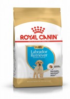Royal Canin Labrador Retriever Puppy    - zooural.ru - 