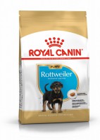 Royal Canin Rottweiler Puppy     - zooural.ru - 