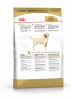 Royal Canin Labrador Retriever     - zooural.ru - 