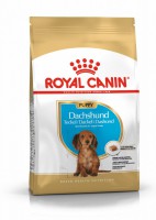 Royal Canin Dachshund Puppy     - zooural.ru - 