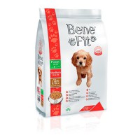 Benefit Puppy Medium Breed with Lamb&Rice   - zooural.ru - 